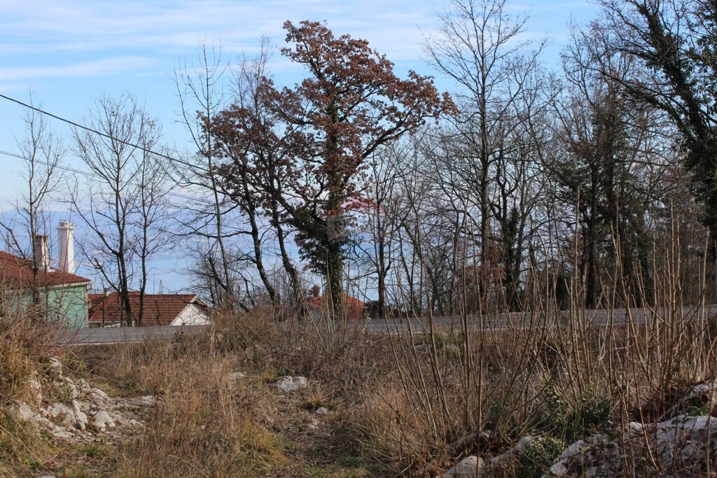 Image 5409753 - 7