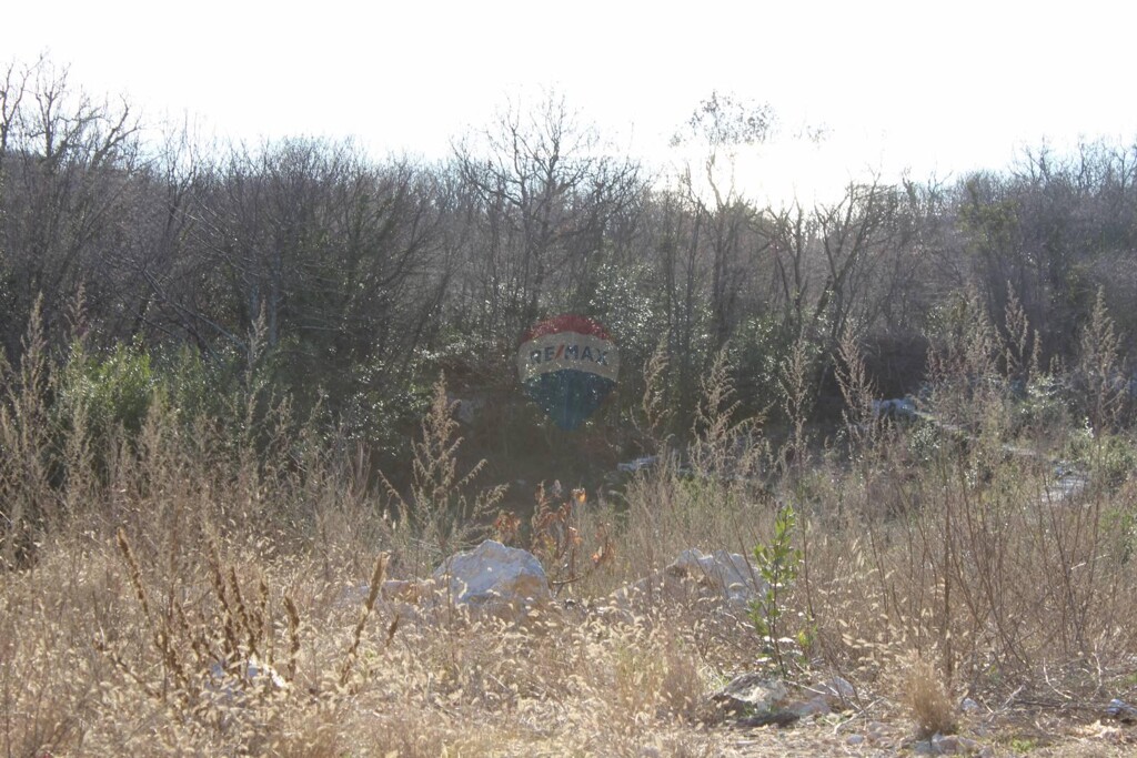 Image 5409755 - 6