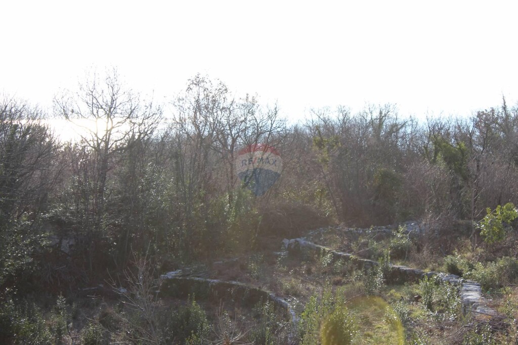 Image 5409755 - 3