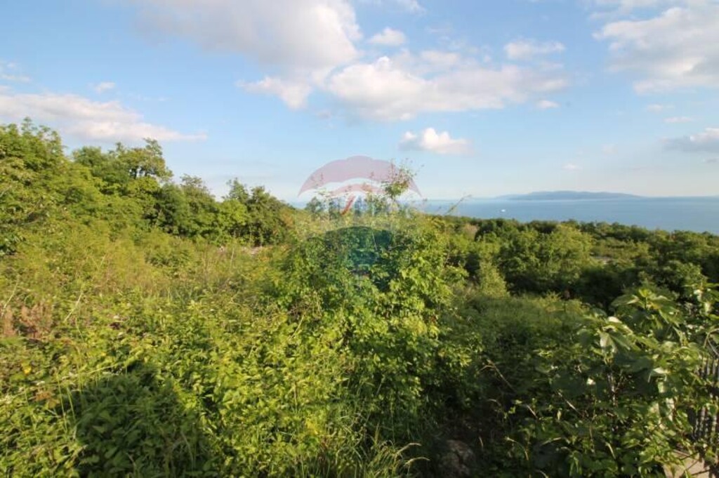 Image 5409755 - 1