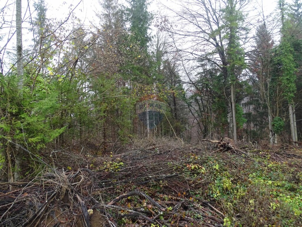 Image 5409794 - 3