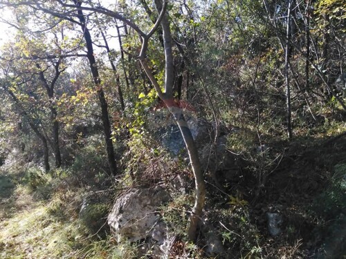 MOŠĆENIČKA DRAGA - 6.670 m2 NEGRAĐEVINSKOG TERENA (ŠUMA)