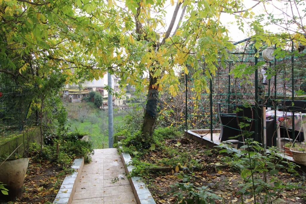 Image 5409809 - 12