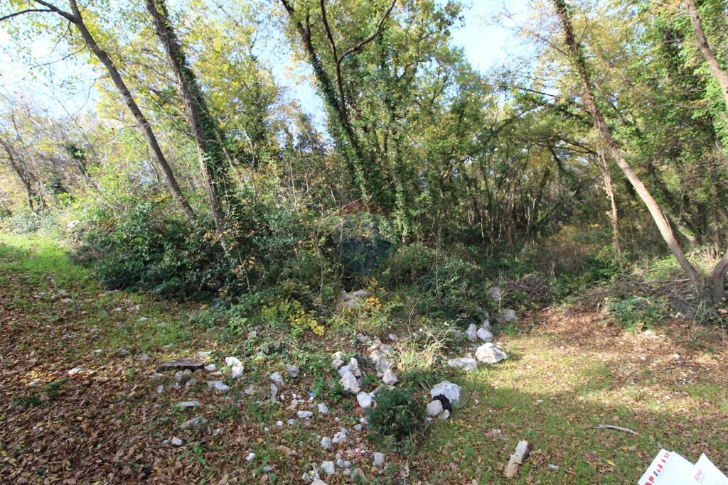 Image 5409813 - 2
