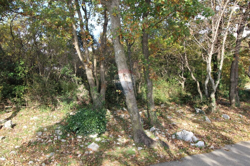 Image 5409813 - 4