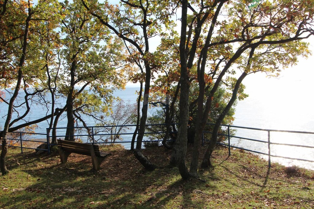 Image 5409813 - 3