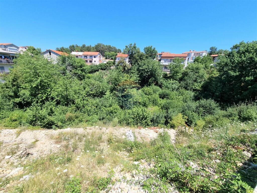 Image 5409822 - 4