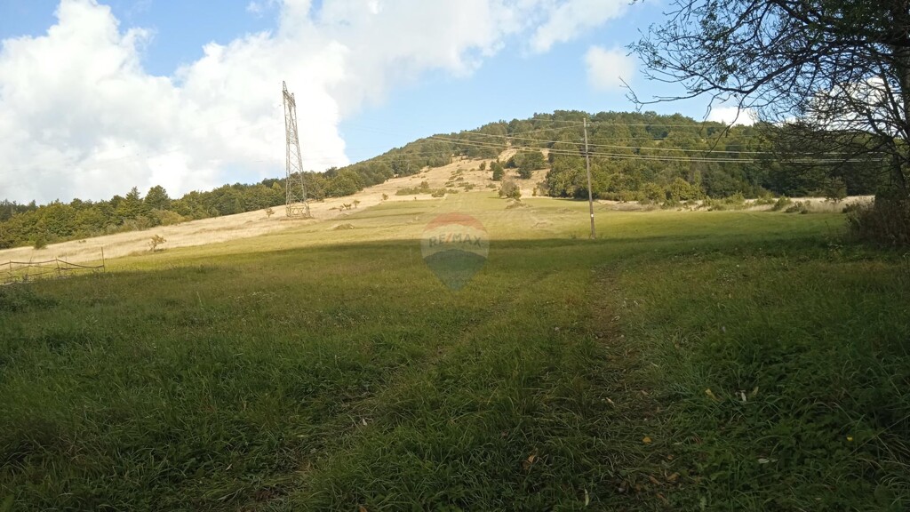Image 5409829 - 3