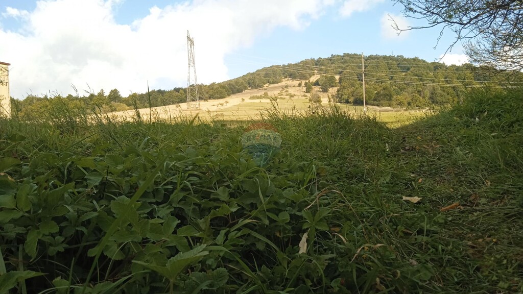 Image 5409829 - 4