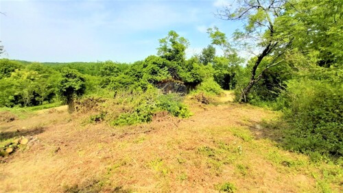 Thumbnail 5409845 - 3