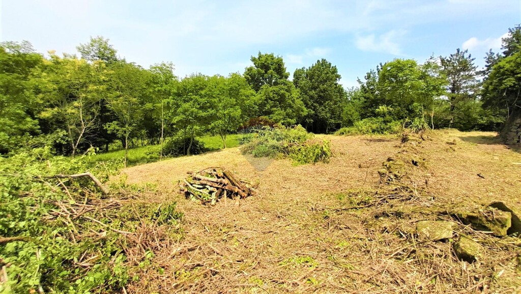 Image 5409845 - 7