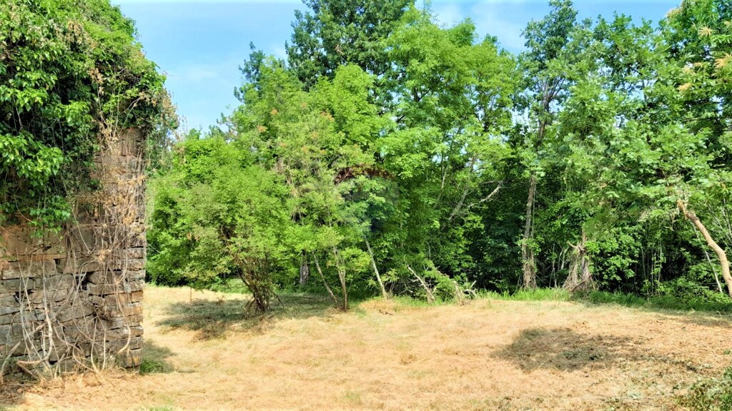 Image 5409845 - 11
