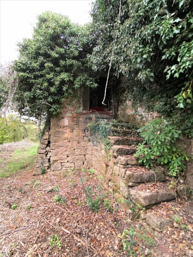 Image 5409845 - 20