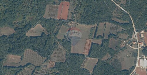 ISTRA, VALTURA, poljoprivredno zemljište / šuma 1ha