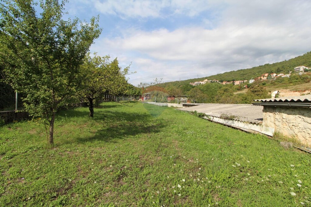 Image 5409867 - 1