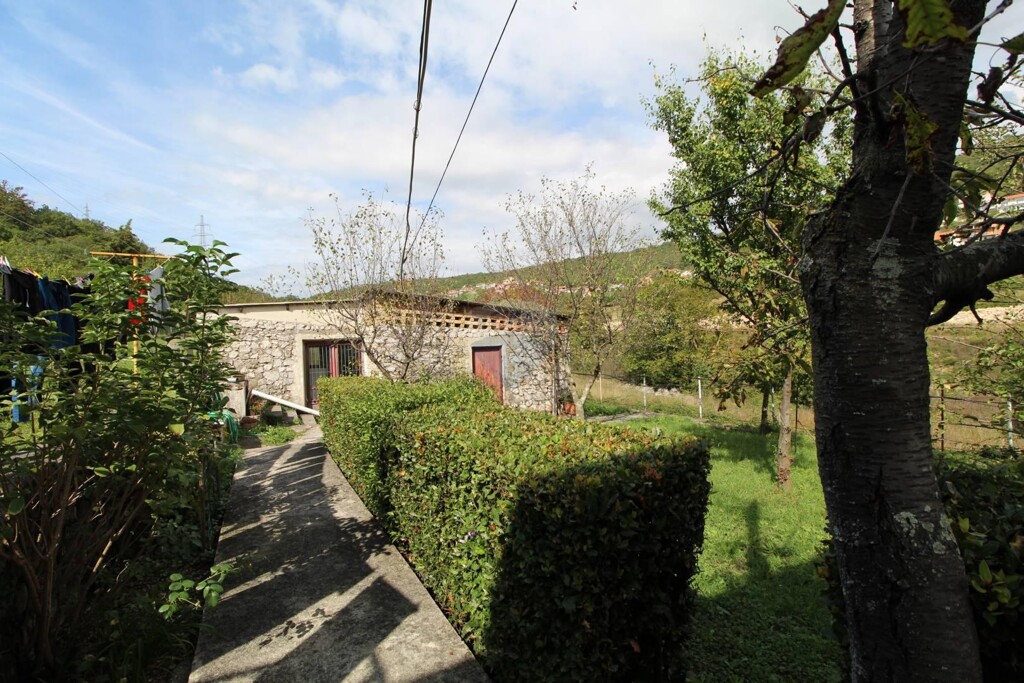 Image 5409867 - 3