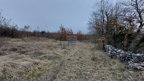 Istra,Orbanići-veliko poljoprivredno zemljište za OPG