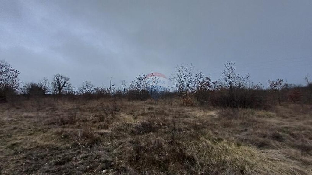 Image 5409868 - 4