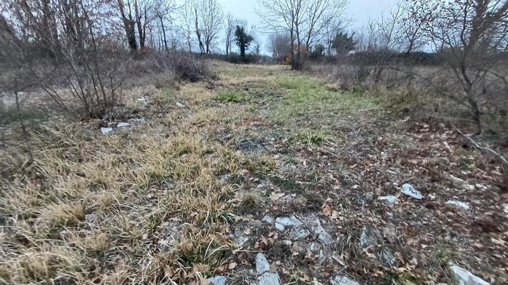 Image 5409868 - 5