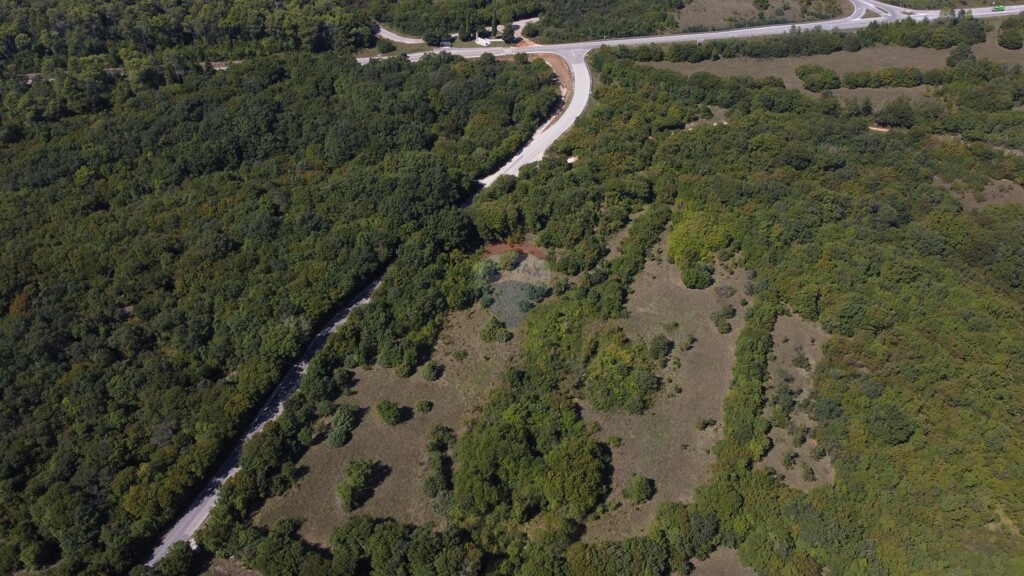 Image 5409872 - 5
