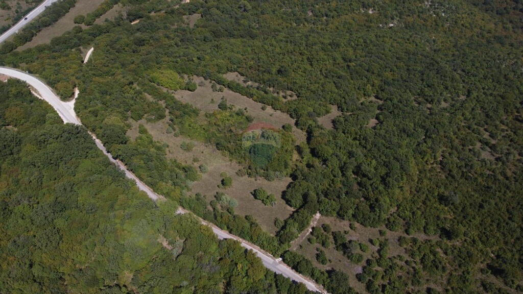 Image 5409872 - 6