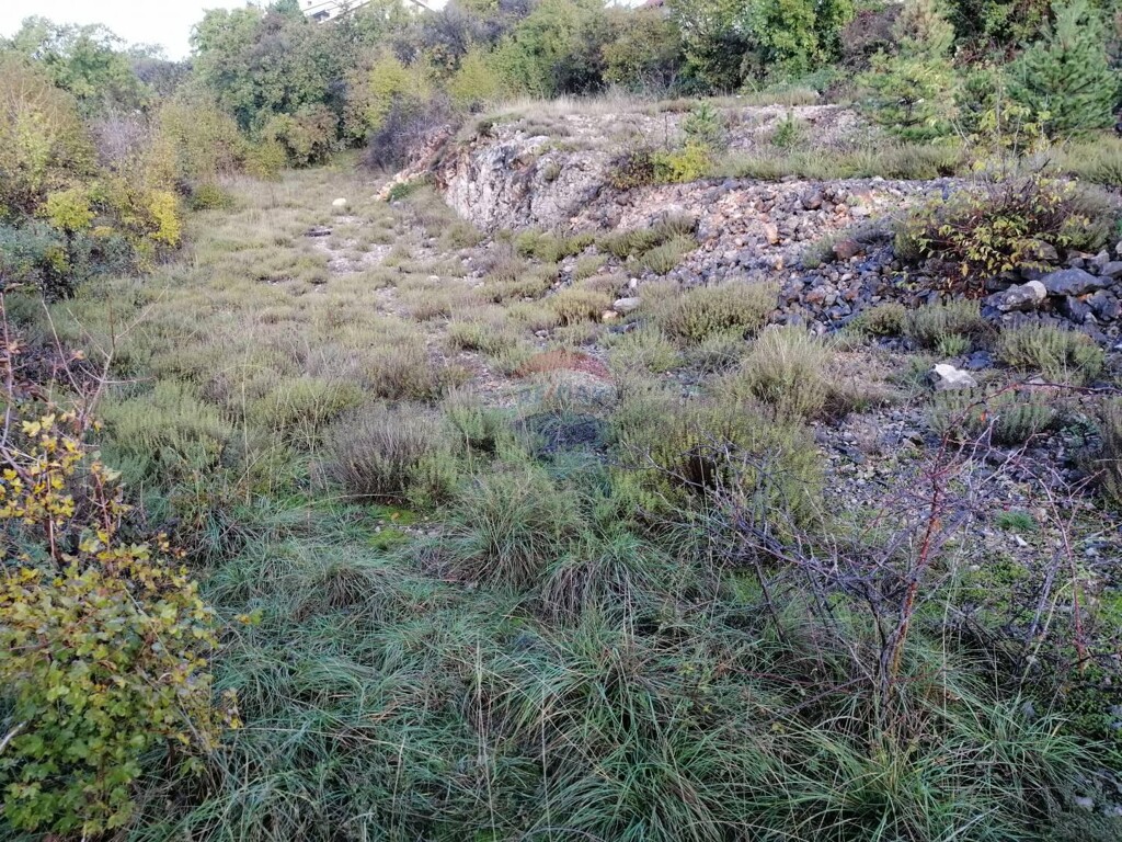 Image 5409883 - 2
