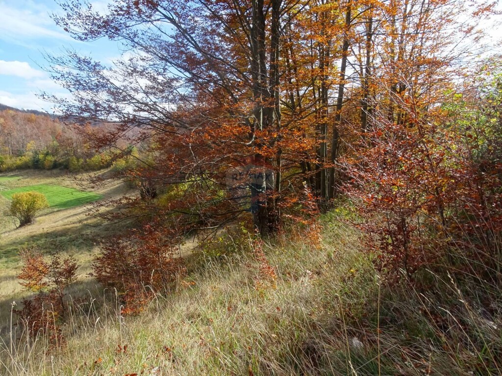 Image 5409884 - 3