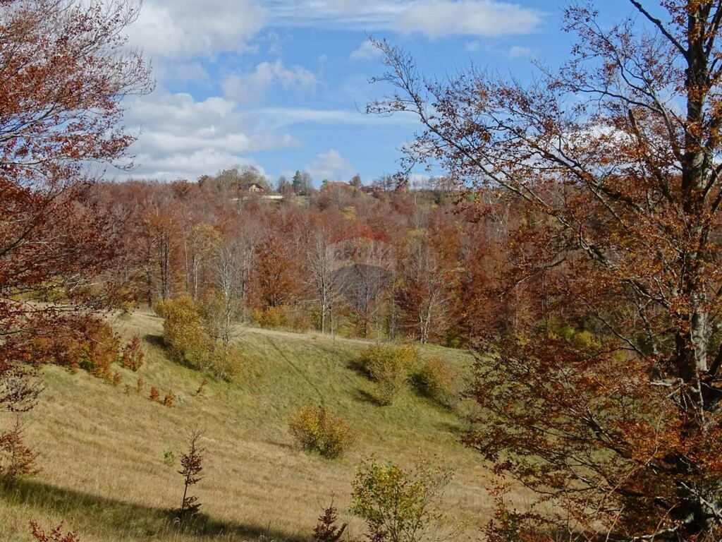Image 5409884 - 1
