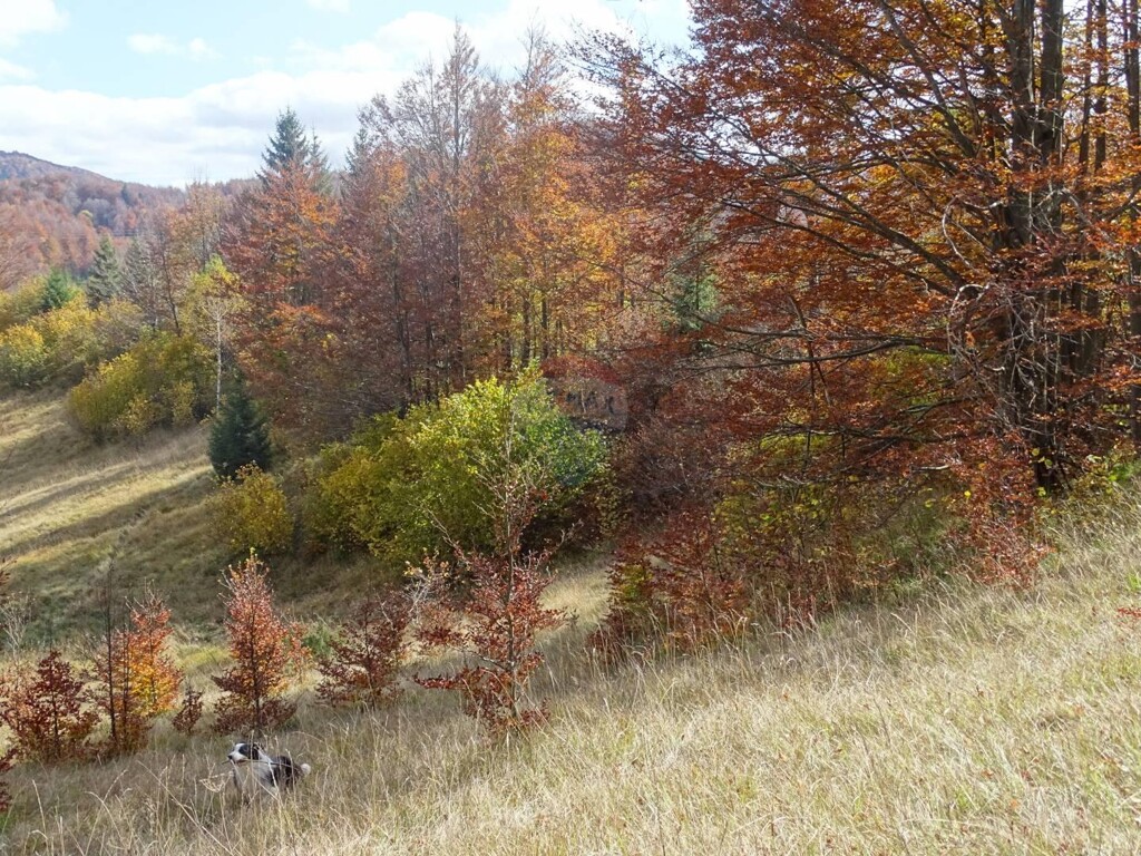 Image 5409884 - 5