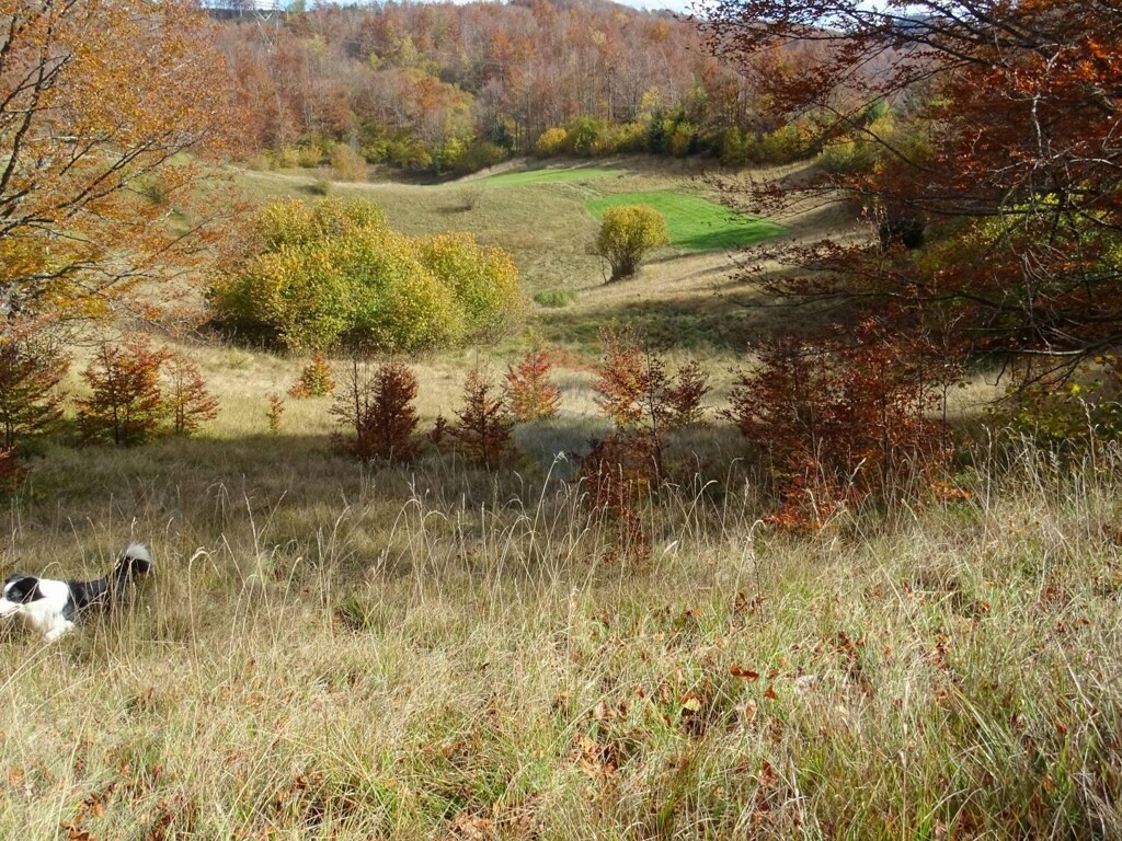 Image 5409884 - 4