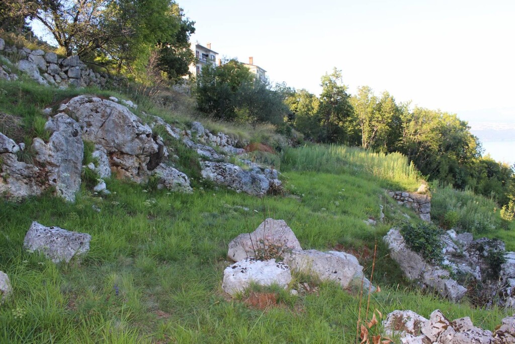 Image 5409892 - 4