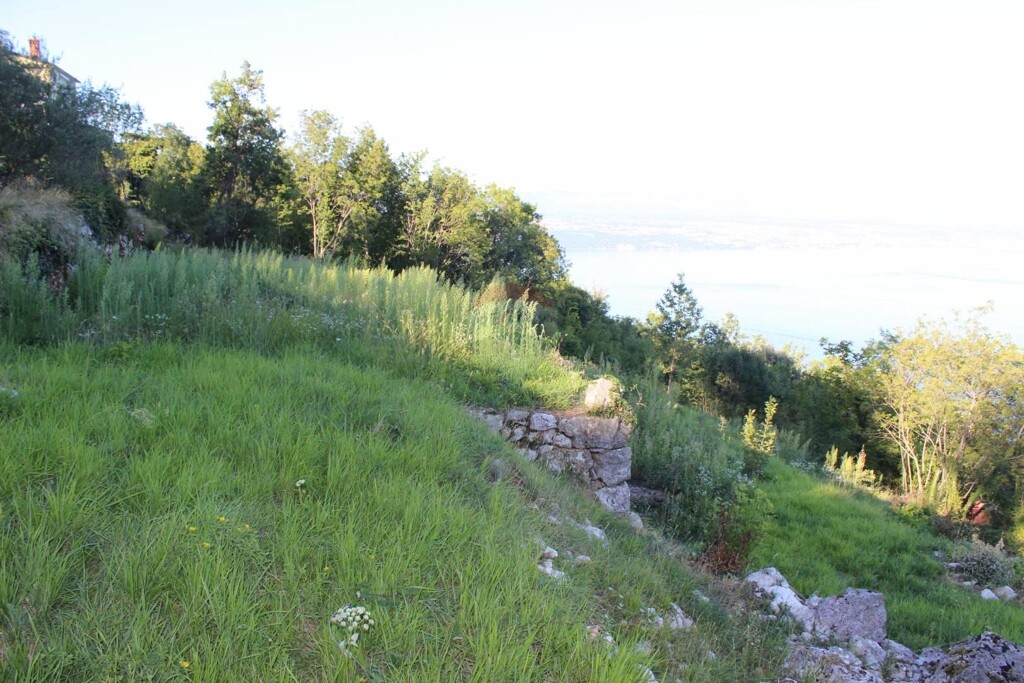 Image 5409892 - 3
