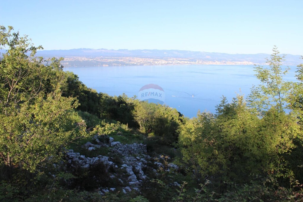 Image 5409892 - 1