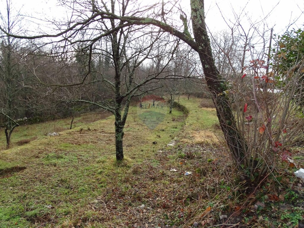Image 5409901 - 4