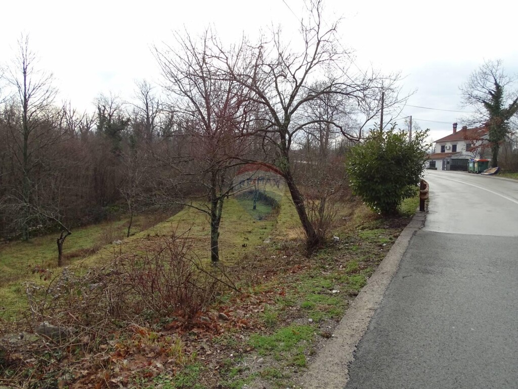 Image 5409901 - 2