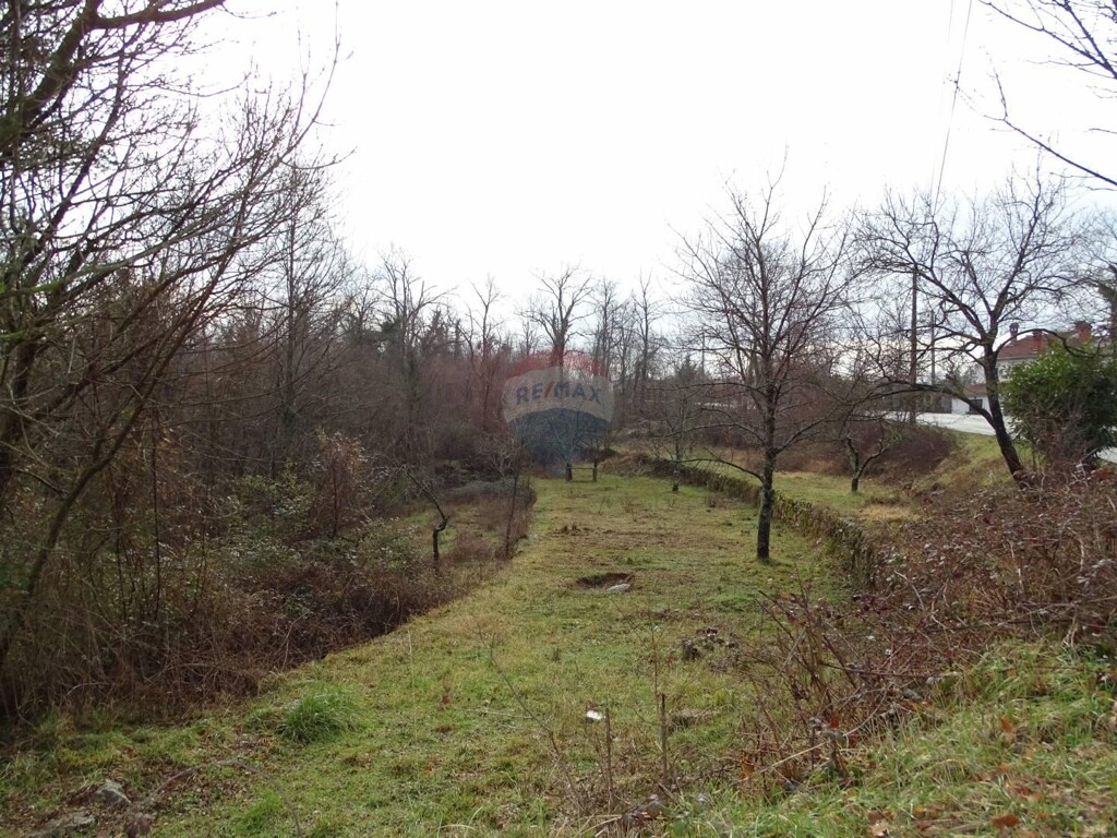 Image 5409901 - 1