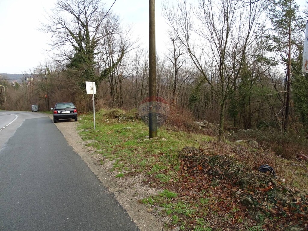 Image 5409901 - 3