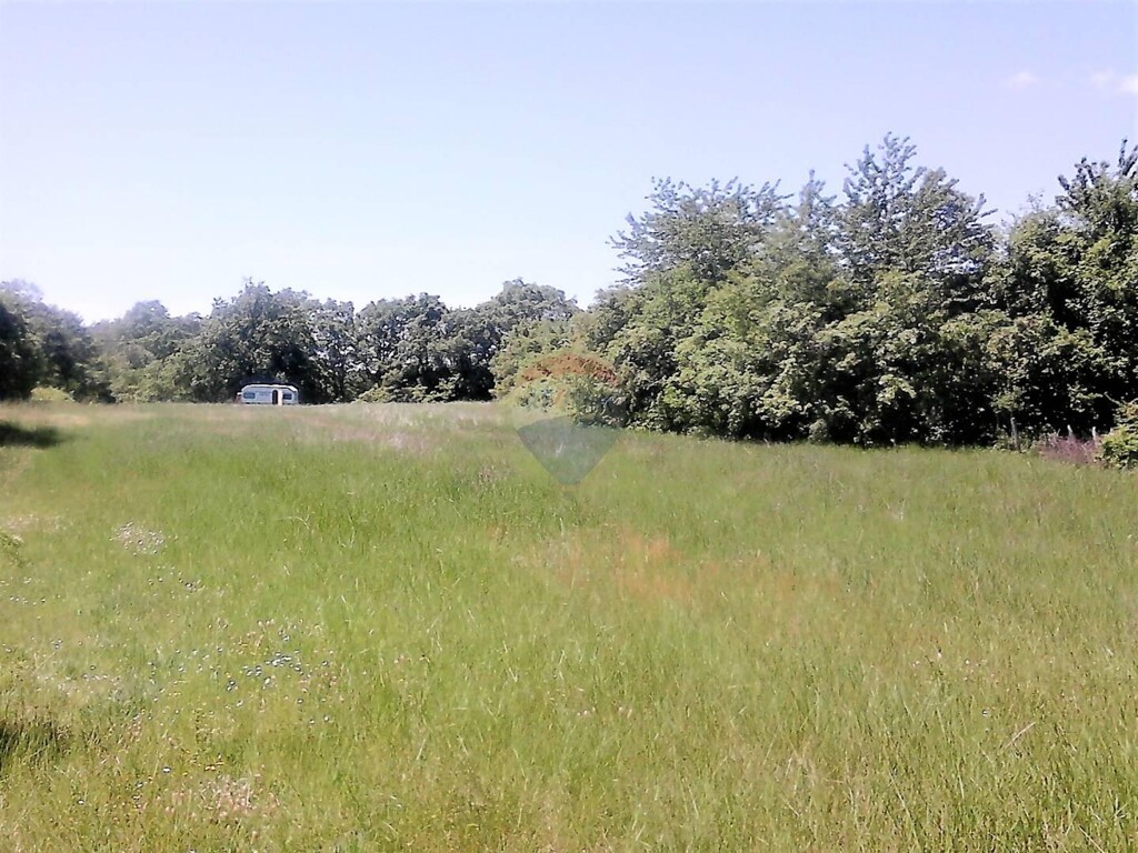 Image 5409914 - 2