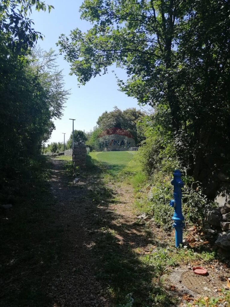 Image 5409917 - 4