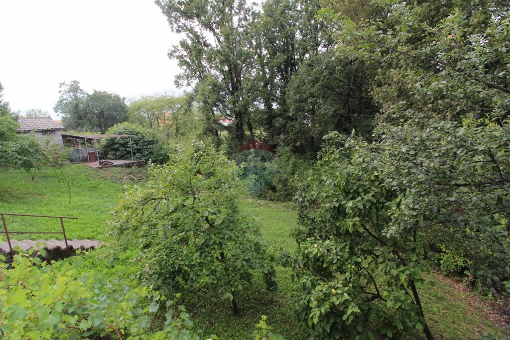 Image 5409920 - 6