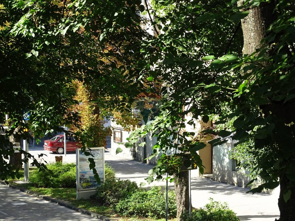 Image 5409923 - 11