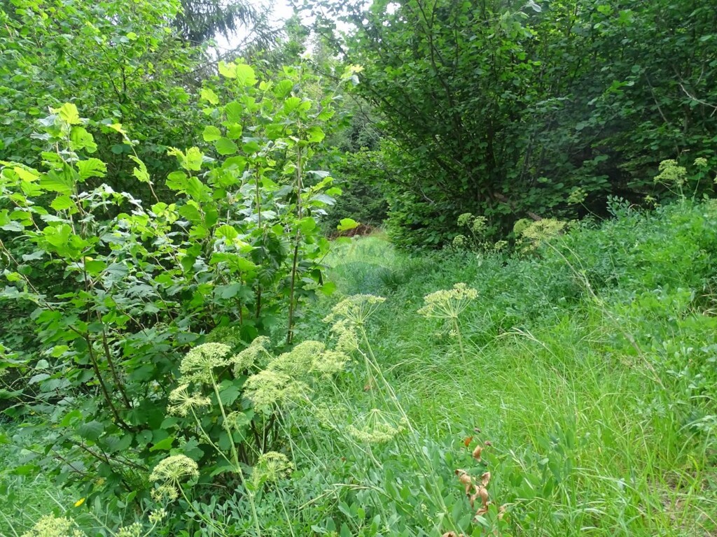 Image 5409949 - 2