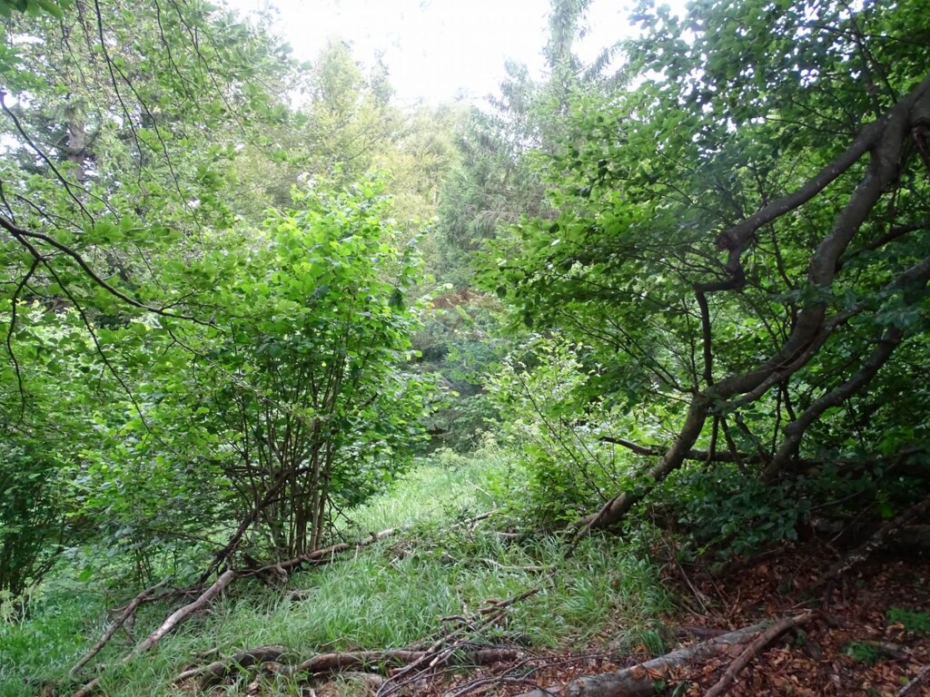 Image 5409949 - 5