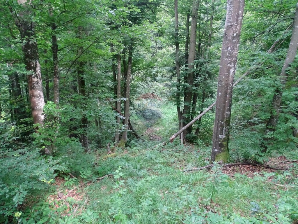 Image 5409949 - 4