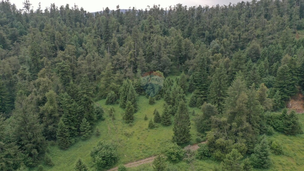 Image 5409949 - 1