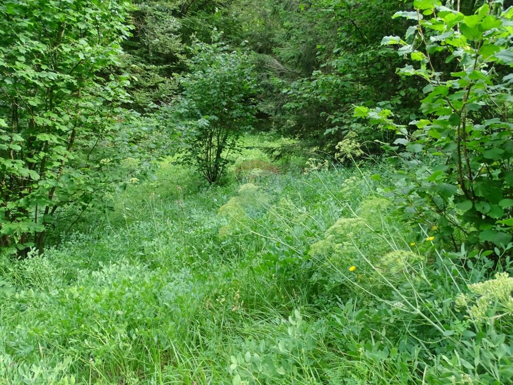 Image 5409949 - 3