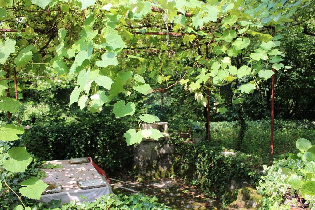 Image 5409954 - 15
