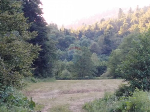 FUŽINE - NEGRAĐEVINSKO ZEMLJIŠTE 5903 m2