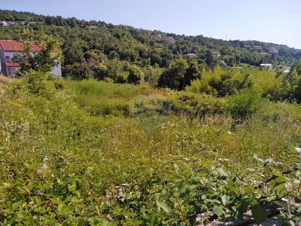 Image 5409959 - 5