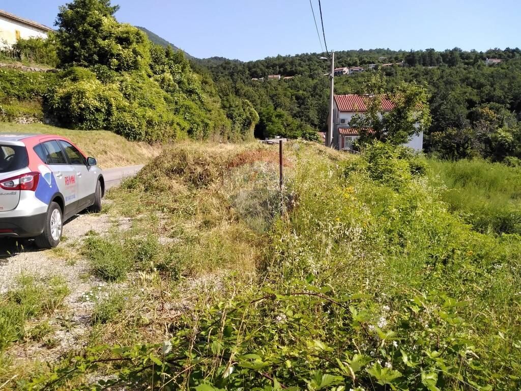 Image 5409959 - 4